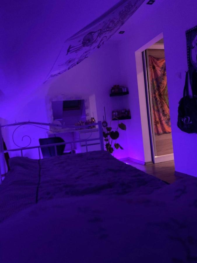 Nadmorski Dom Pod Lasem Villa Mieroszyno Eksteriør bilde